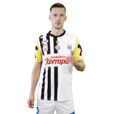 Sport Soccer Sticker by LASK