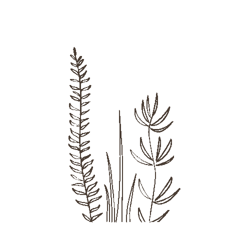 Flower Plant Sticker by Bee original