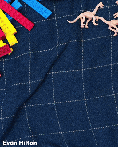 Stop Motion Animation GIF by Evan Hilton