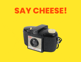 Photo Camera GIF by Design Museum Gent