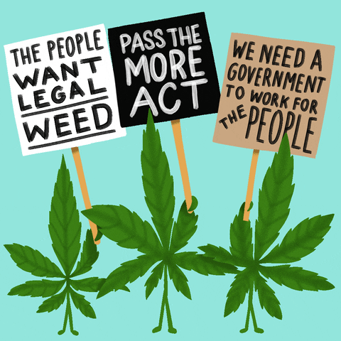 Digital art gif. Animation of green marijuana leaves with arms and legs, holding picket signs that read, "The people want legal weed," "Pass the More Act," and "We need a government to work for the people," all against a bright blue background.