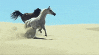 galloping horse animated gif