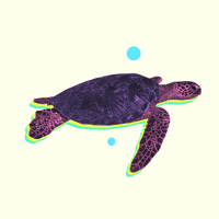Climate Change Turtle GIF by NRDC