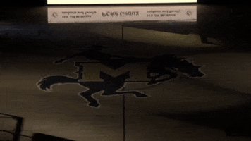 Msu Go Pokes GIF by McNeese State University