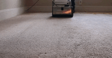 Area Rug Cleaning Cranbury Nj GIF