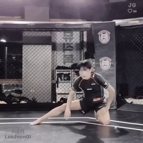 Lee Joon Gi Jg GIF