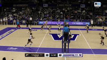 GIF by Washington Athletics
