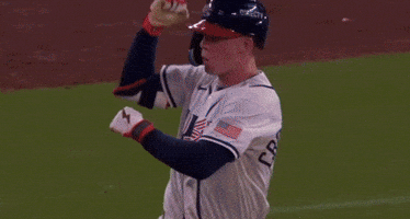 United States Baseball GIF