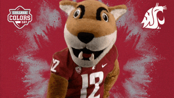 College Sports Cougars GIF by College Colors Day