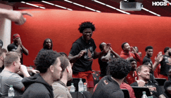 Razorback Football Razorbacks GIF by Hogs+