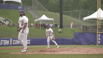 Strike Out Lets Go GIF by LSU Tigers