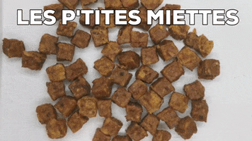 LesP'titesMiettes GIF