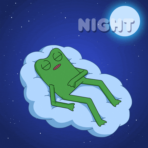 Drifting Off Good Night GIF by fwogs