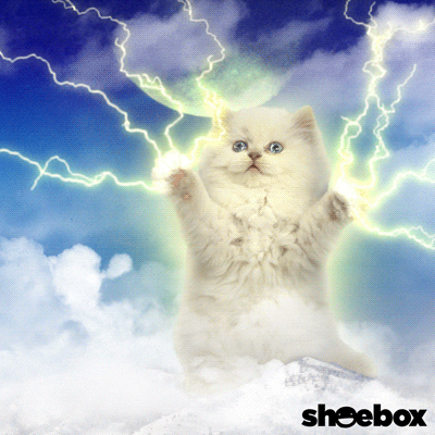Gif of a fluffy white kitten standing on a cloud shooting lightning out of its paws.