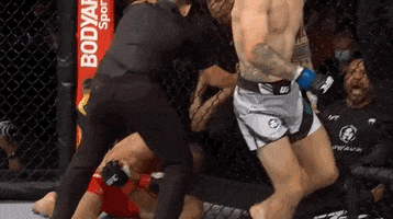 Sport Fighting GIF by UFC