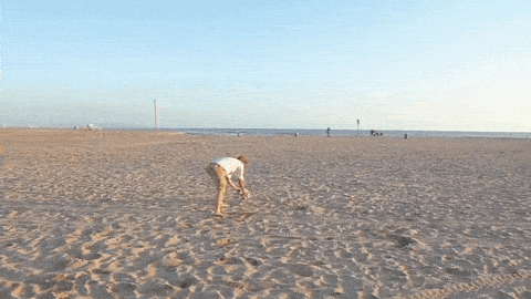 beach