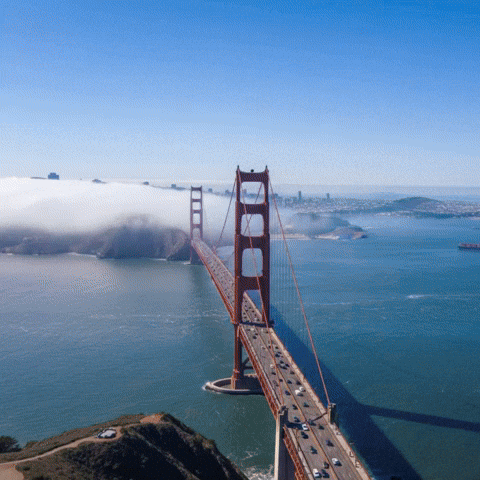San Francisco Bridge GIF by HOSSDESIGNUSA