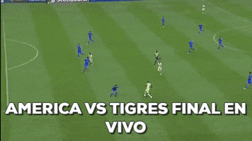 AhmedAli1793 #final #ligamx2016 #america GIF