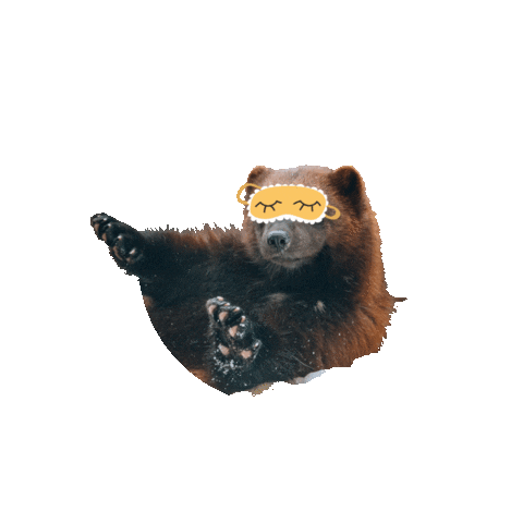 Tierpark Sababurg Sticker