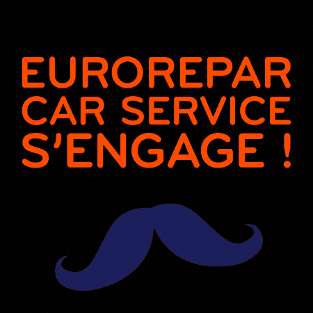 EuroreparCarServiceFrance GIF