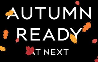Fall Autumn GIF by Life at NEXT