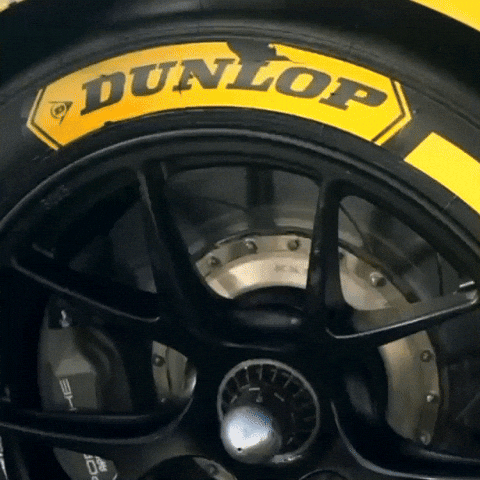 Racing Race GIF by Dunlop Tire NA