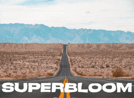 La Casa del Zorro Desert Resort & Spa GIF