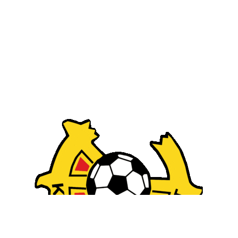 Kaarinan Pojat Sticker