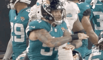 National Football Association GIF by NFL