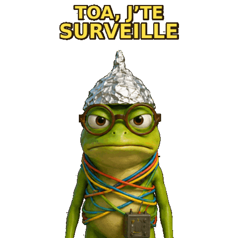 Grenouille Sticker