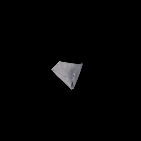Cat GIF