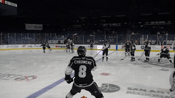 Ahl GIF by Ontario Reign