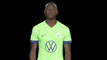 Josuha Guilavogui Applause GIF by VfL Wolfsburg