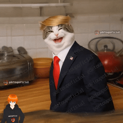 Detoupmemes GIF