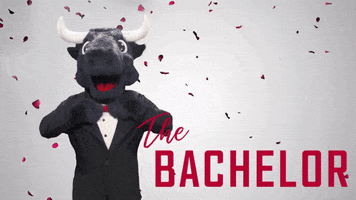 The Bachelor Flowers GIF by Houston Texans