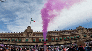 8M2021 Gatogabs Cdmx GIF