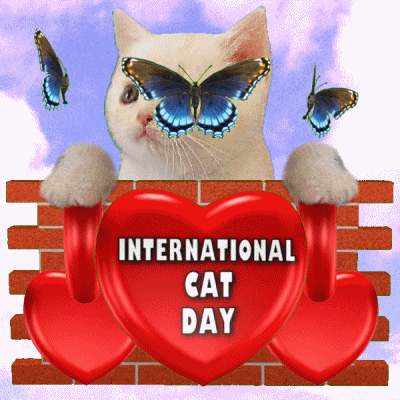 International Cat Day GIF