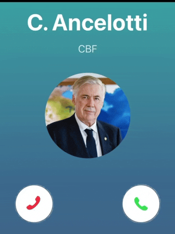 Copa Do Mundo Futebol GIF