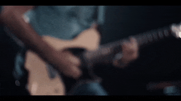 Birdshot GIF