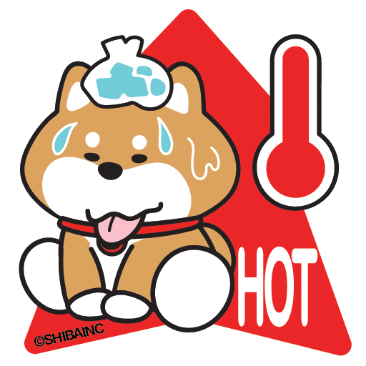柴犬 Typhoon Sticker by SHIBAINC
