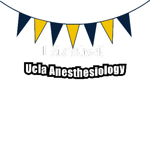 Ucla Anesthesiology Sticker