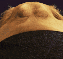 Golden Retriever Dog GIF by Disney