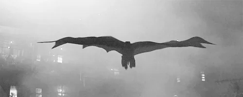 black and white batman GIF