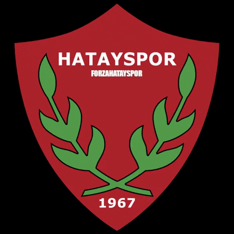 hatayspor GIF