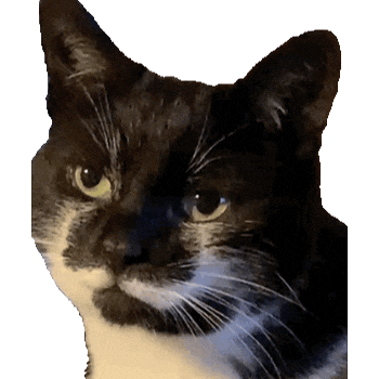 Sticker by amandacolemanjewellery