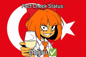 Fact Check Turkish GIF
