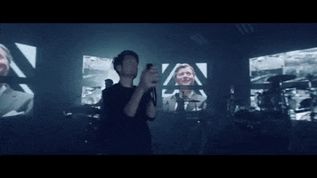 tammy  GIF