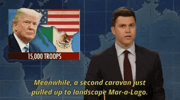 Colin Jost Trump GIF by Saturday Night Live