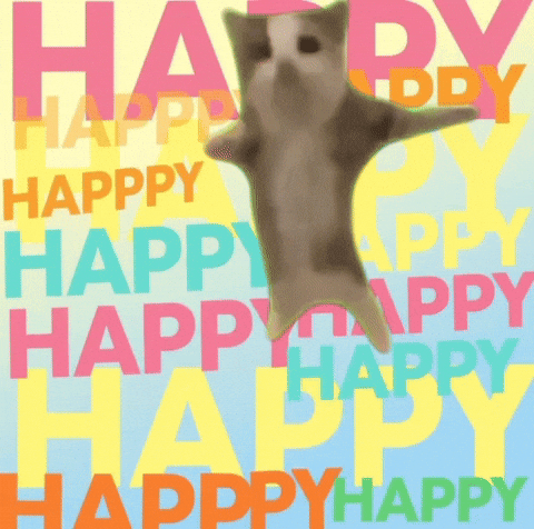 Happy cat celebrating