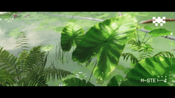 GIF by Marathon